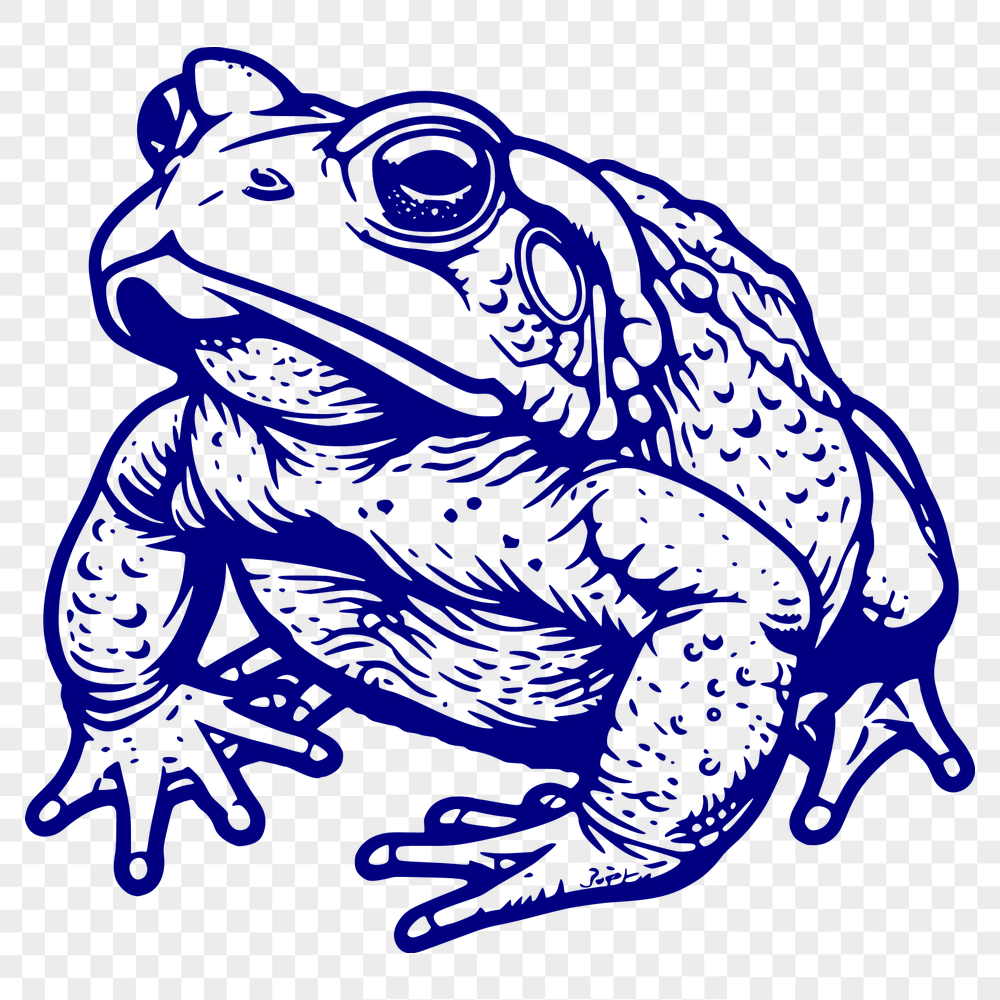 Creative Toad Vector Craft File