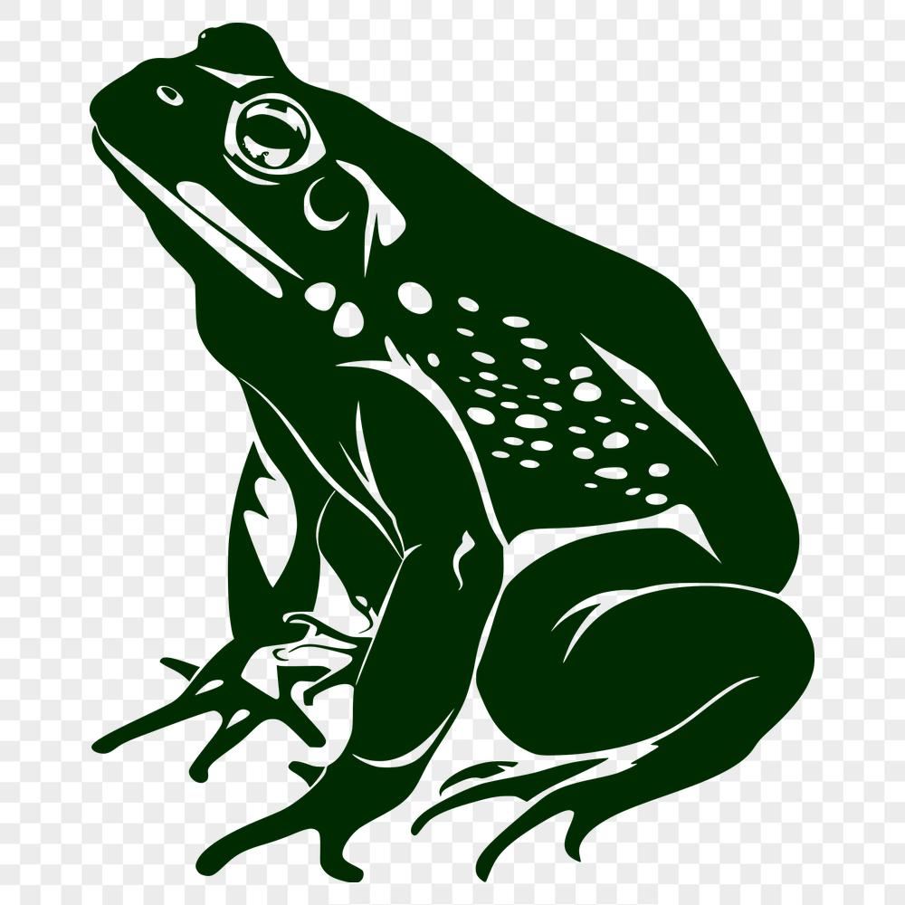 Unique Toad In PNG