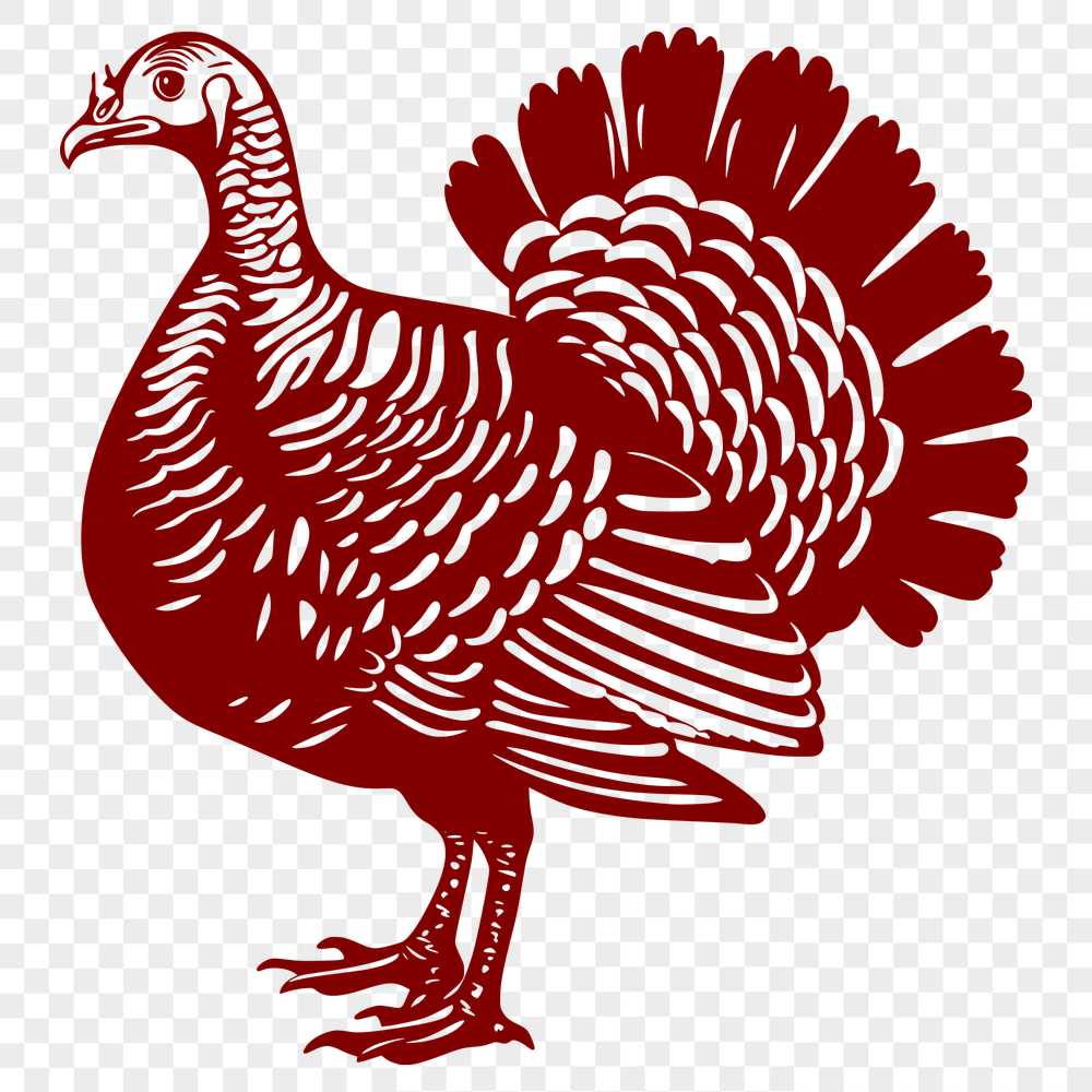 Free Artistic Turkey Digital Drawing