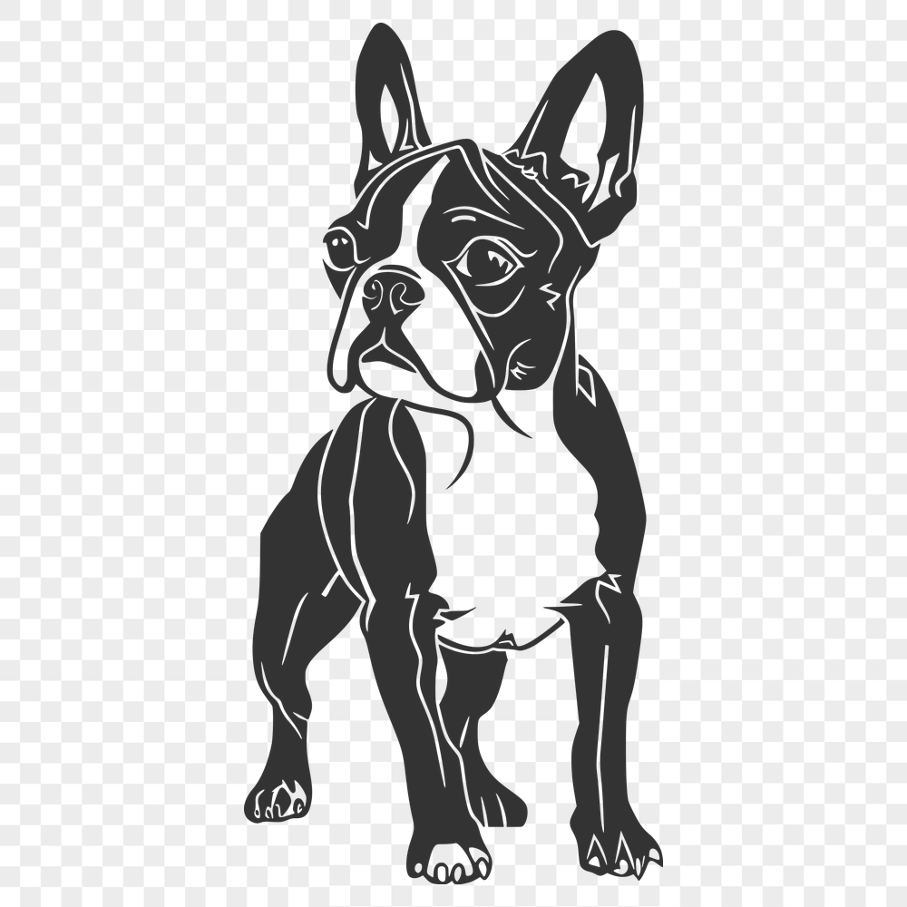 Standing Dog PNG