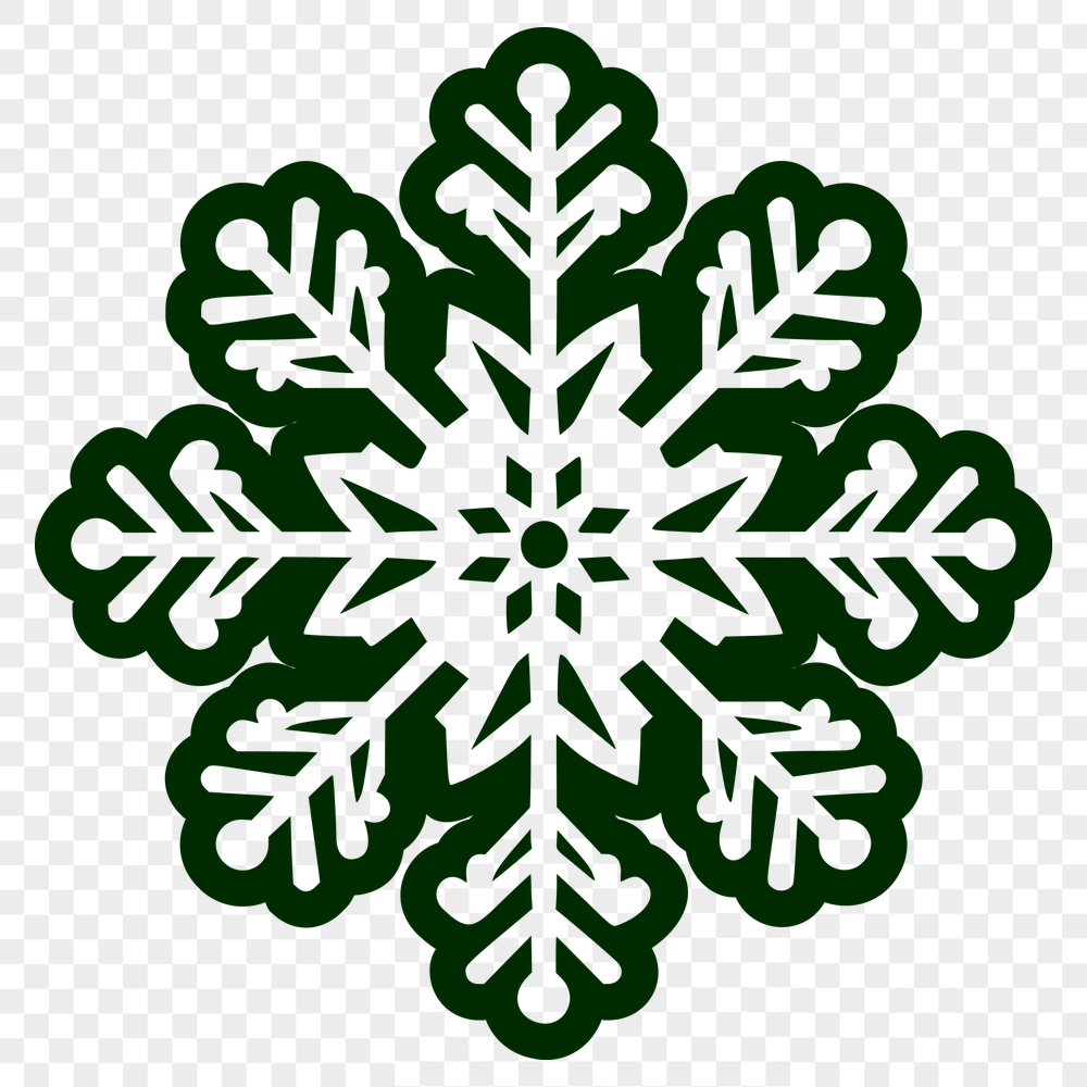 Beautiful Snowflake Vector Image