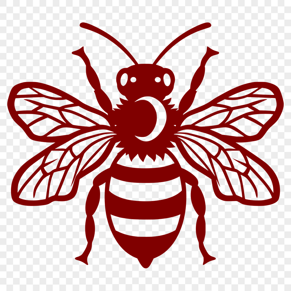 Free Free Bee Image