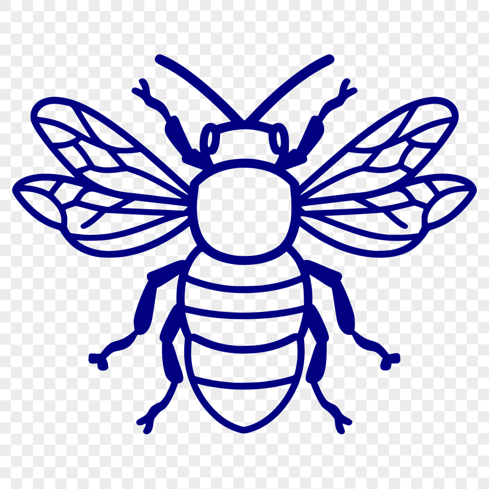 Free Bee SVG, PNG, PDF And DXF Files