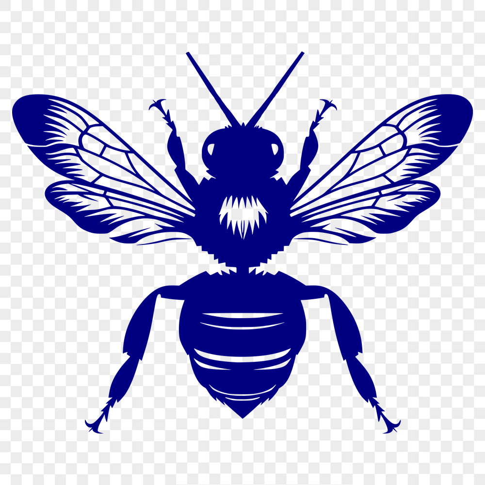 Free Beautiful Bee Design