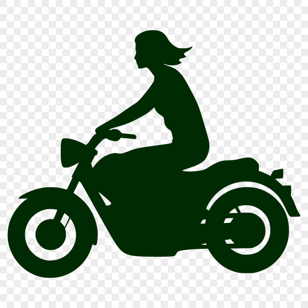 Artistic Bike Vector Illustration