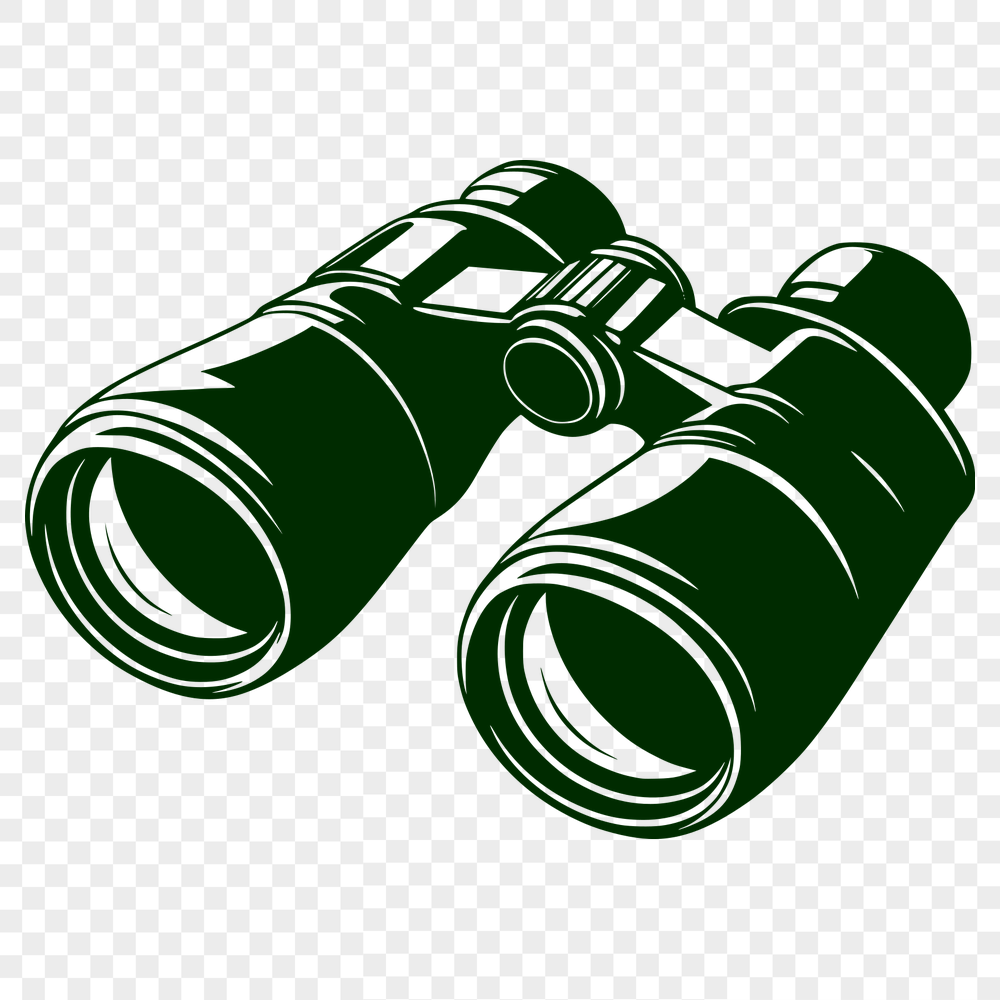 Stunning Binoculars - Vinyl PDF Free Download