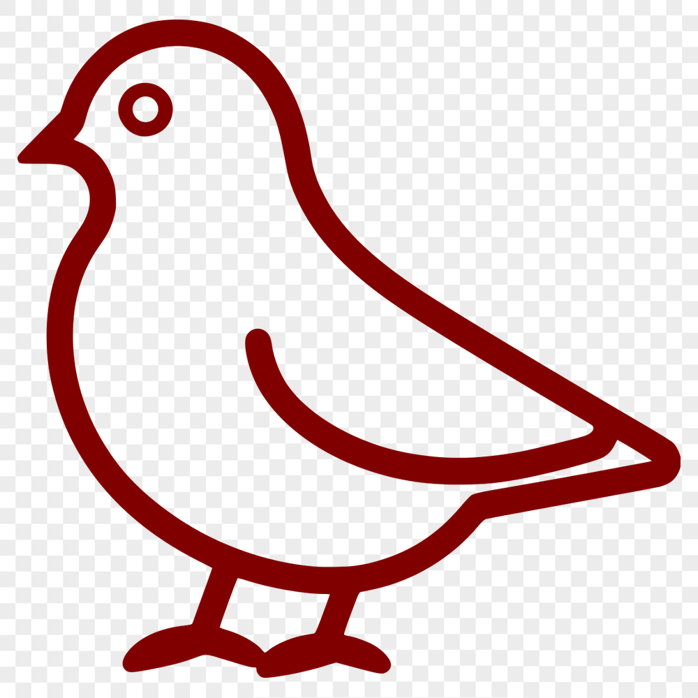 Bird SVG, PNG, PDF And DXF Files