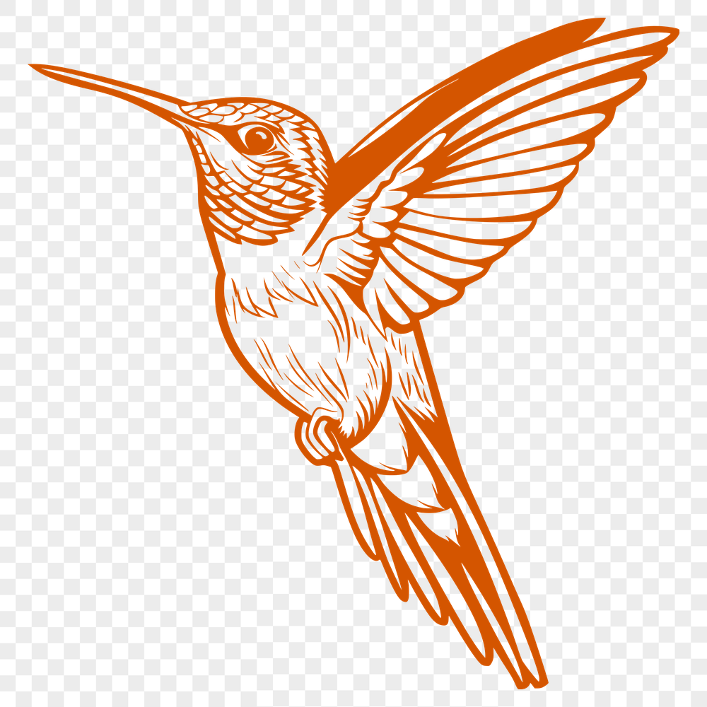 Unique Hummingbird In DXF Format