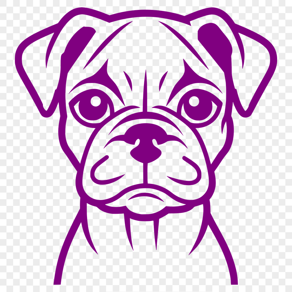 Beautiful Dog - Animal PNG