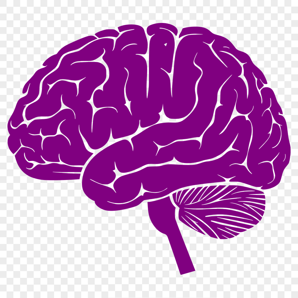 Stunning Brain Clipart