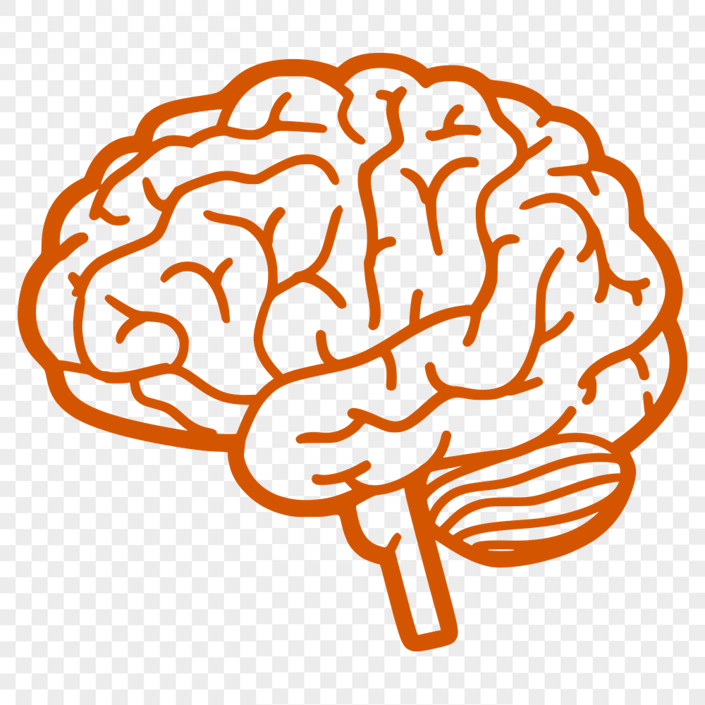 Unique Brain SVG, PNG, PDF And DXF Files