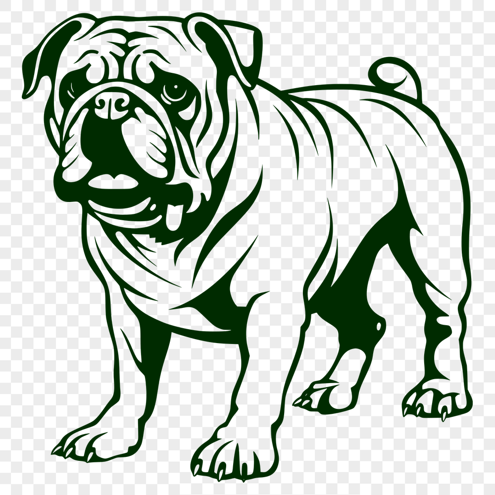 Standing Bulldog Digital Drawing