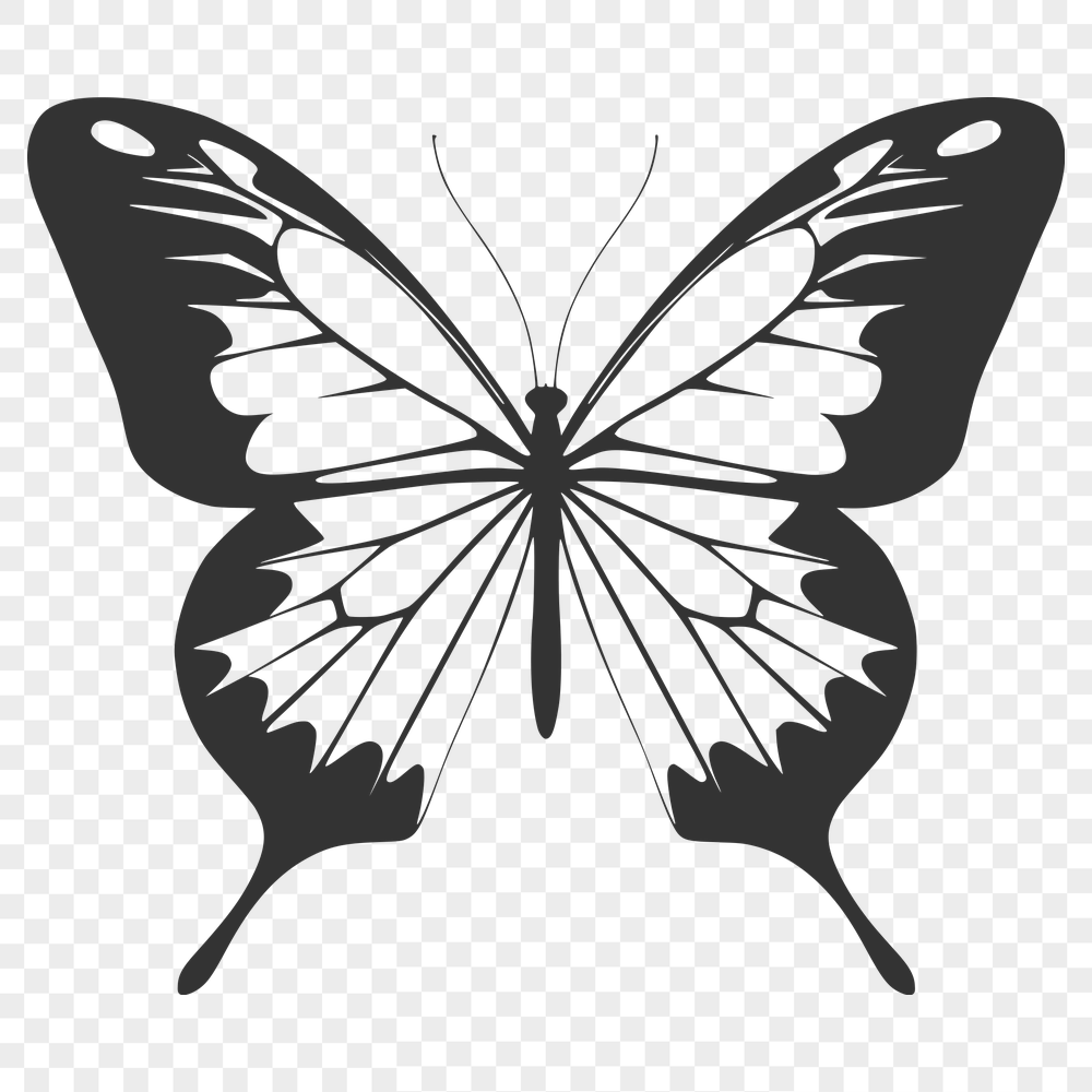 Artistic Butterfly Design