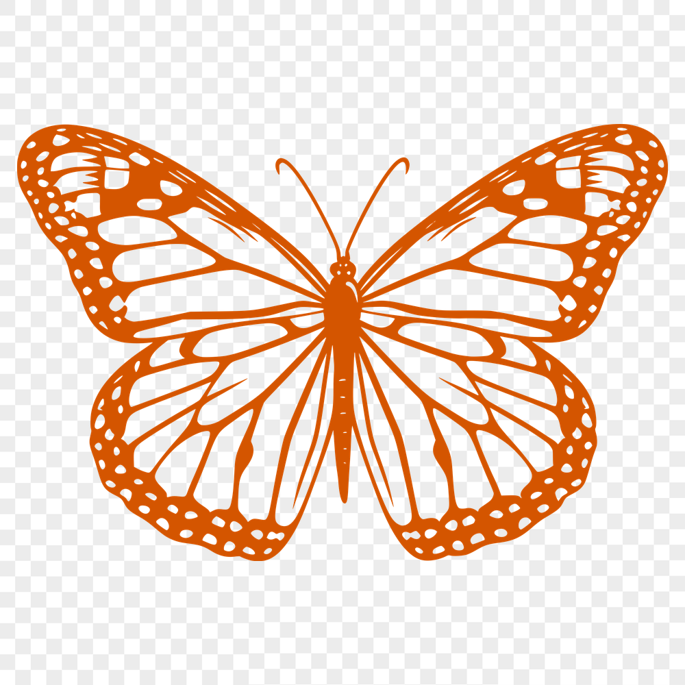 Free Unique Butterfly Template