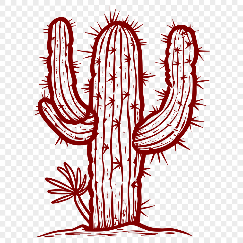 Free Artistic Cactus Vector Art