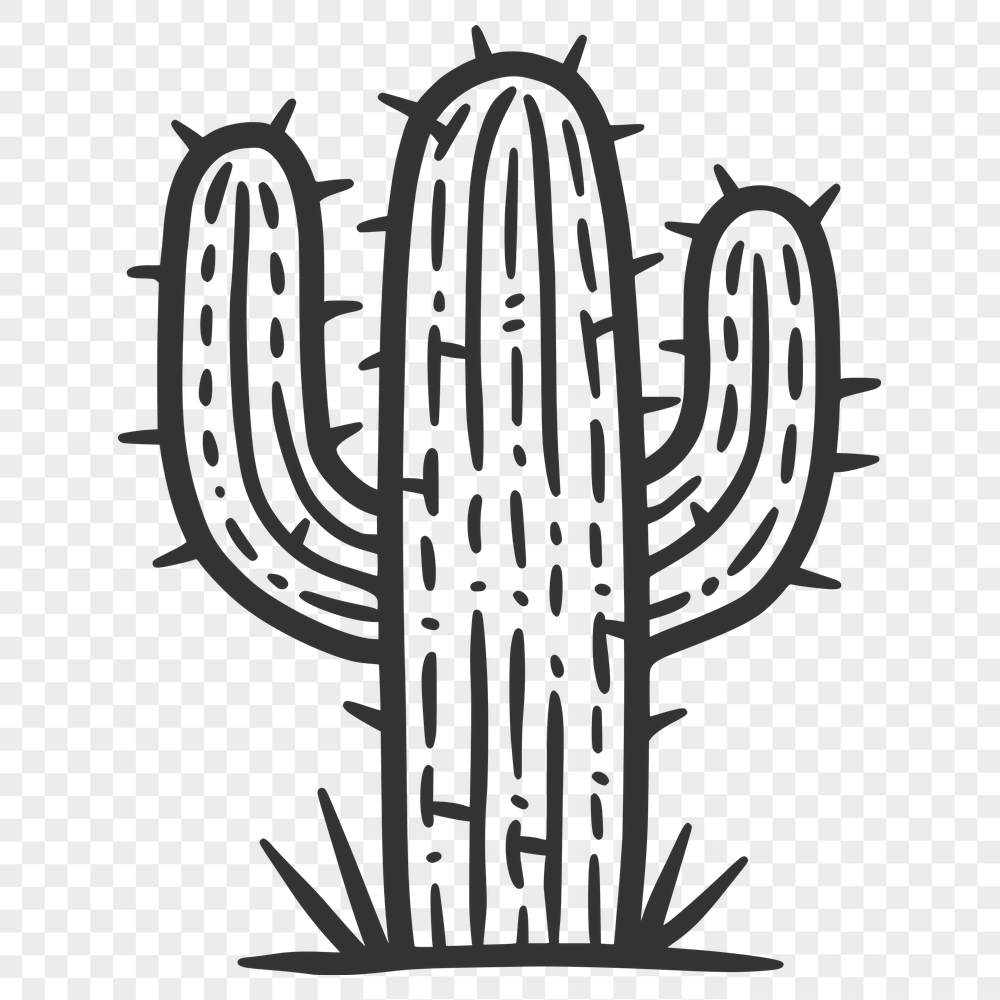 Free Beautiful Cactus Image