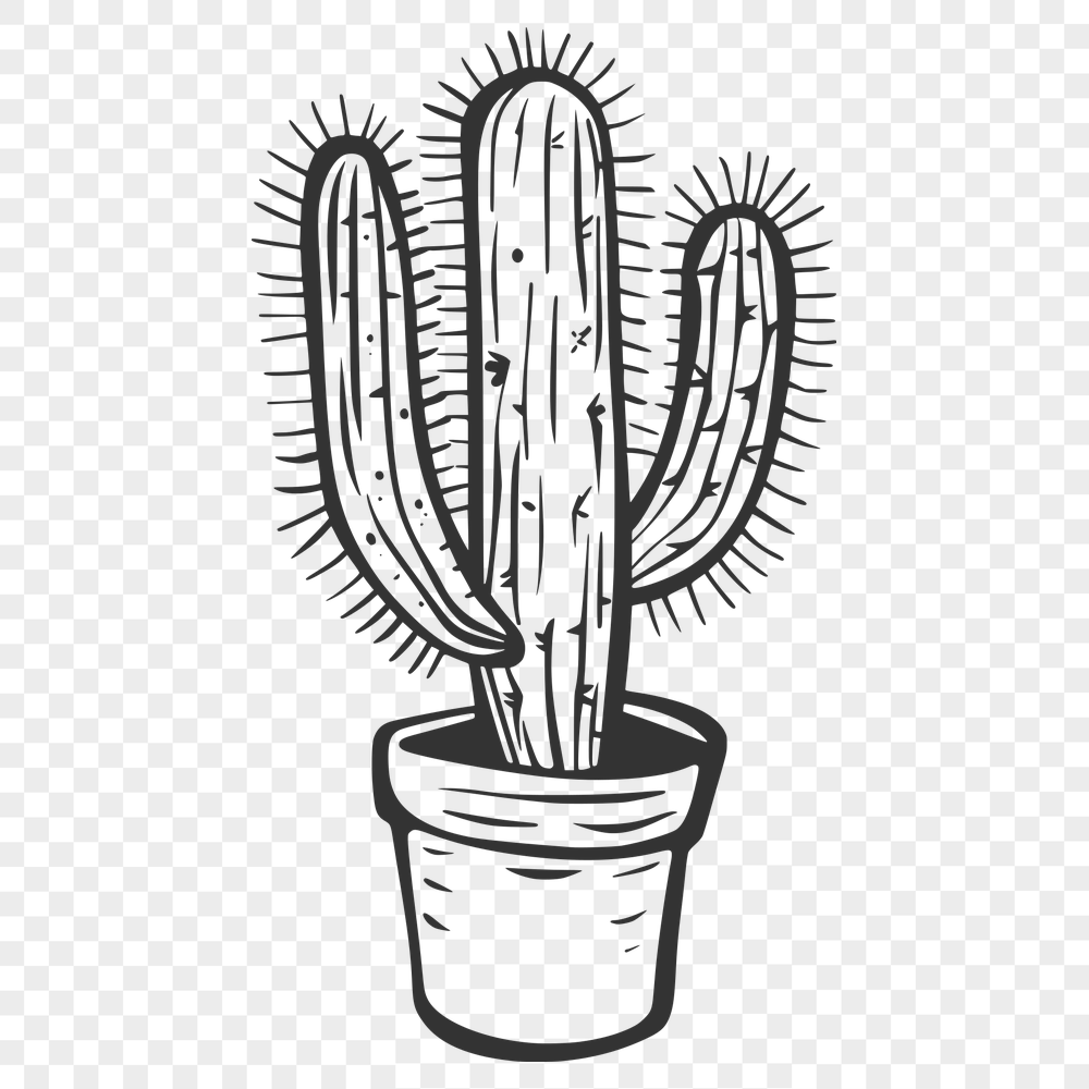 Creative Cactus PDF