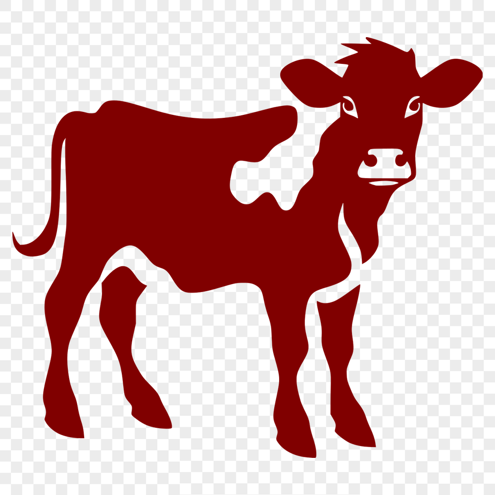 Stunning Cow SVG