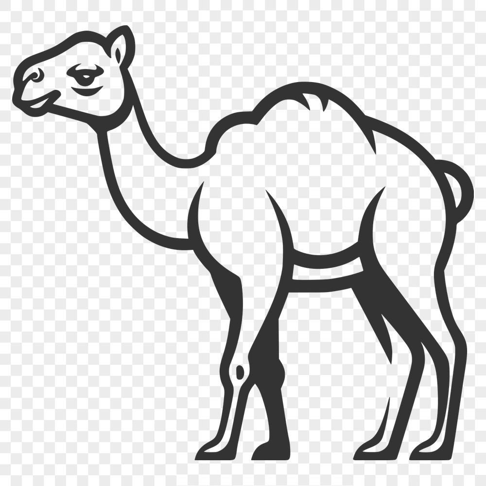 Stunning Camel Artwork