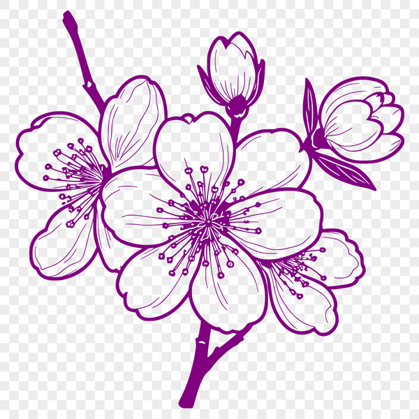Beautiful Sakura Flower SVG Clip Art A detailed illustration of a cherry blossom in full bloom, suitable for vector art designs.