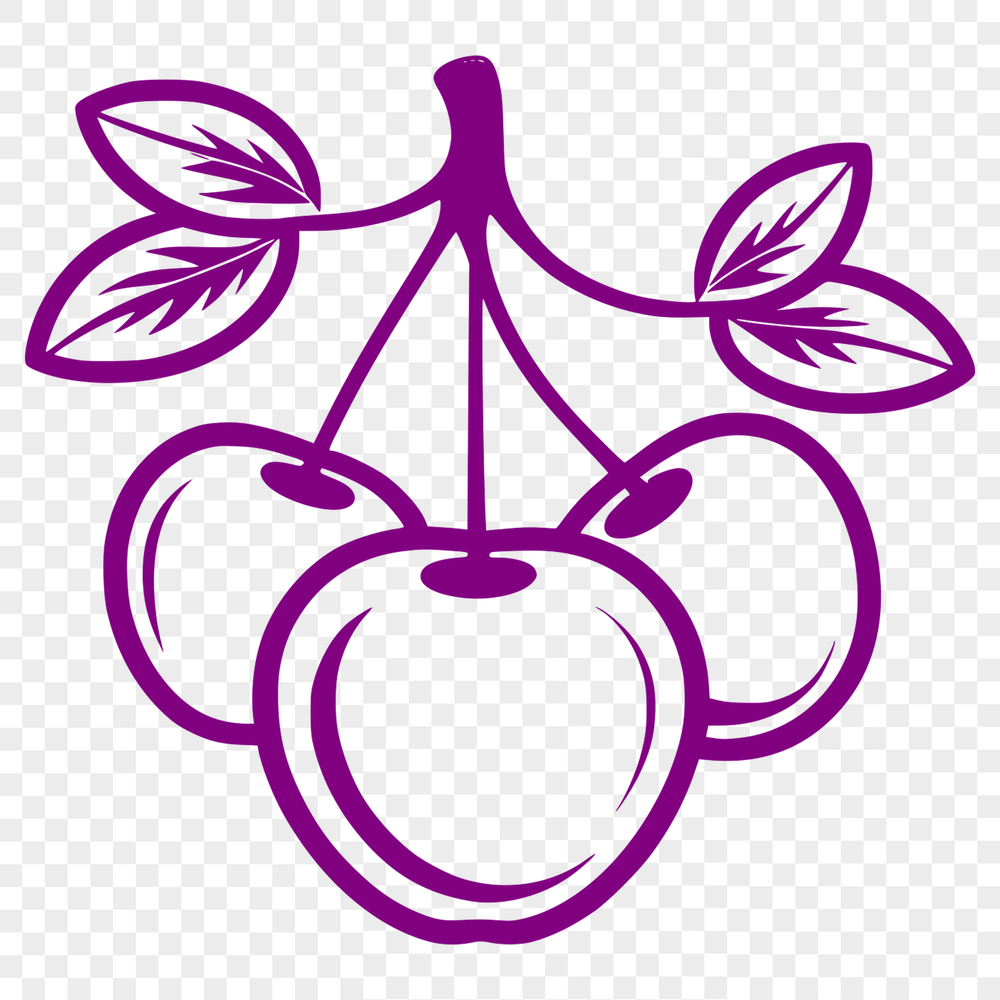 Delicious Cherry Fruit Illustration A stylized illustration of a cherry fruit with smooth curves and defined details.