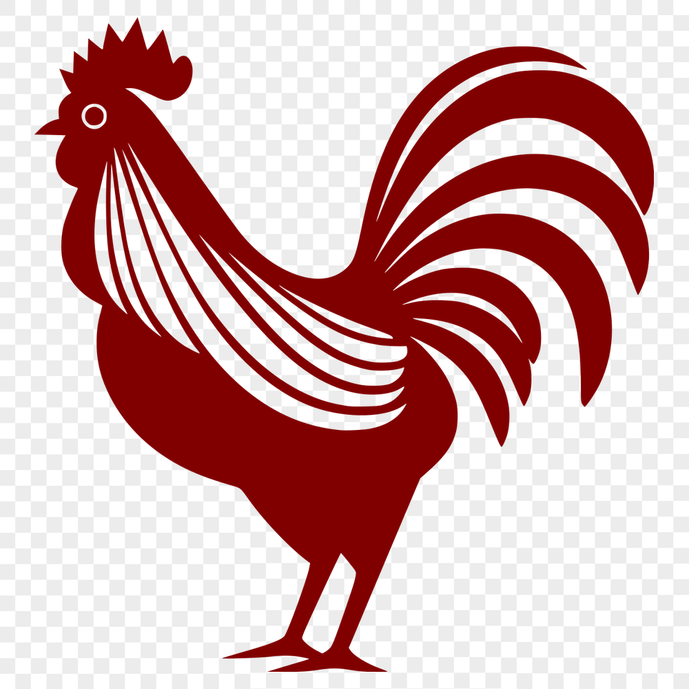 Beautiful Chicken Vector Art