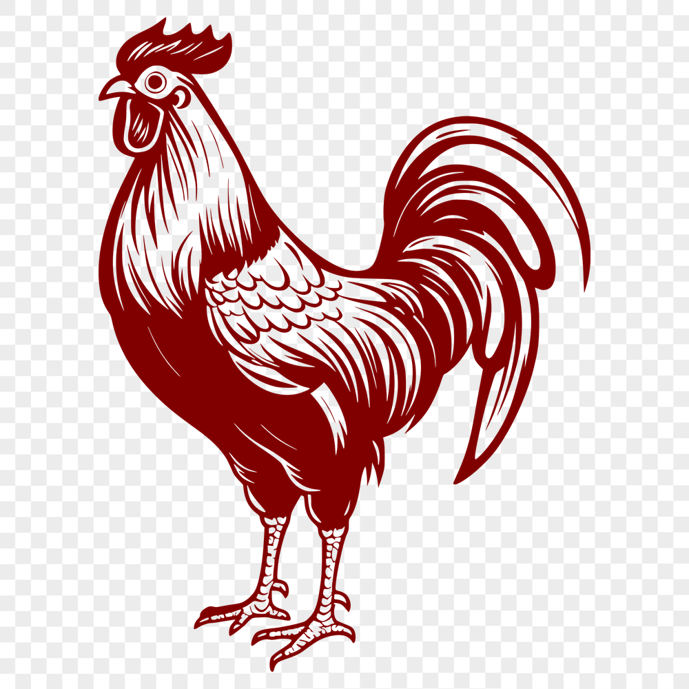 Stunning Chicken Artwork