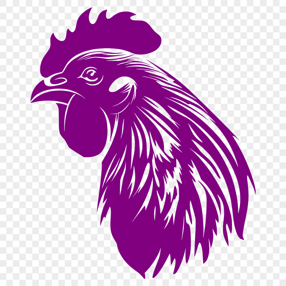 Creative Chicken Vector Illustration