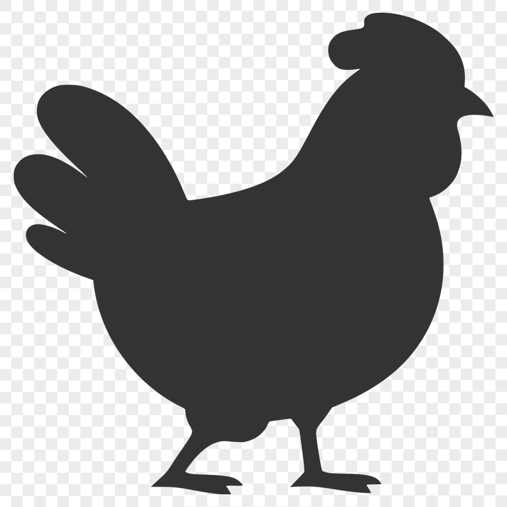 Free Beautiful Chicken Template