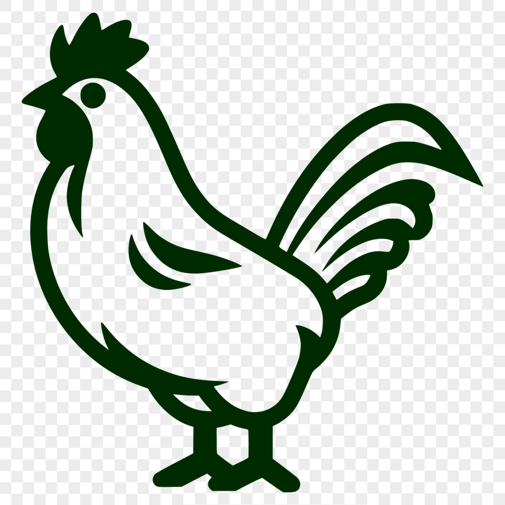 Unique Chicken Vector Illustration