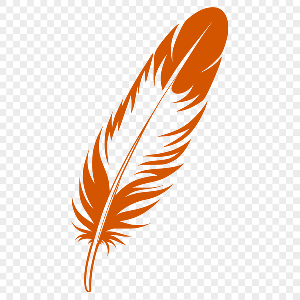 A simple vector illustration of a feather with smooth lines and clean edges.