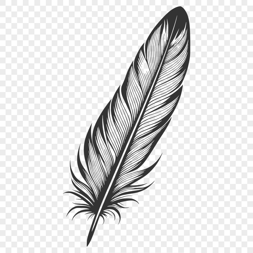 Bird Feather Illustration in Vector Format A detailed illustration of a single bird feather in vector format, suitable for digital design and crafting.