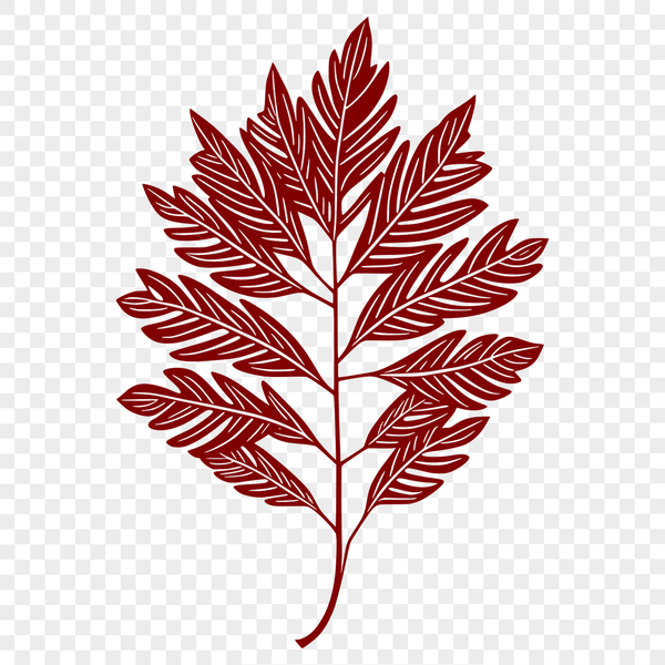 Beautiful Leaf Design Vector Art A single, detailed leaf design created as a vector art file.