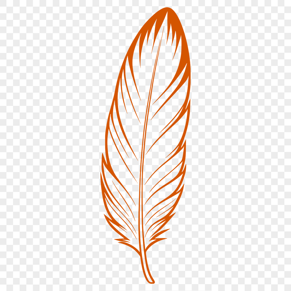 Beautiful Illustration A stylized illustration of a feather in vector format, suitable for digital design and print.