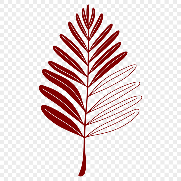 Beautiful Leaf Graphic Design A single leaf illustration in vector format.