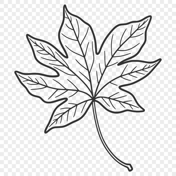 Stylized Leaf Illustration in Vector Format A single leaf with stylized veins and edges, designed as vector art.