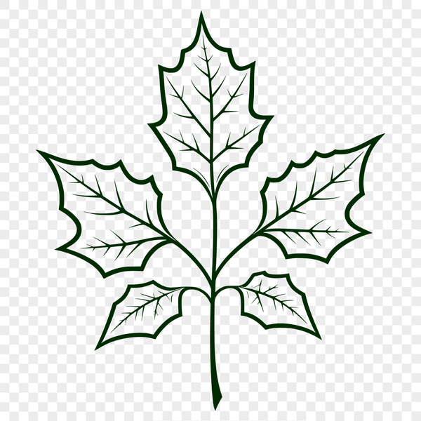 A detailed illustration of a single leaf with intricate veins.
