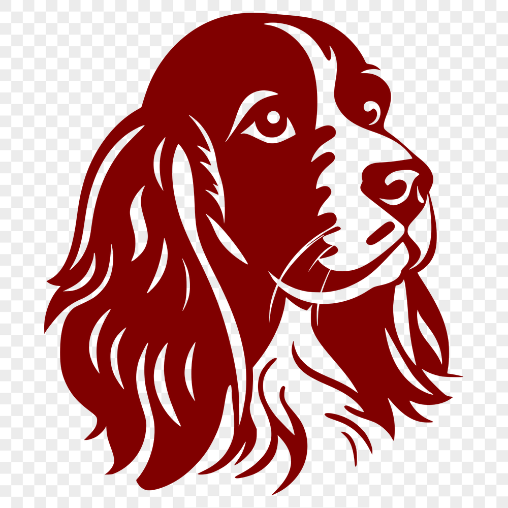 Free Cocker Spaniel - For Animal Project