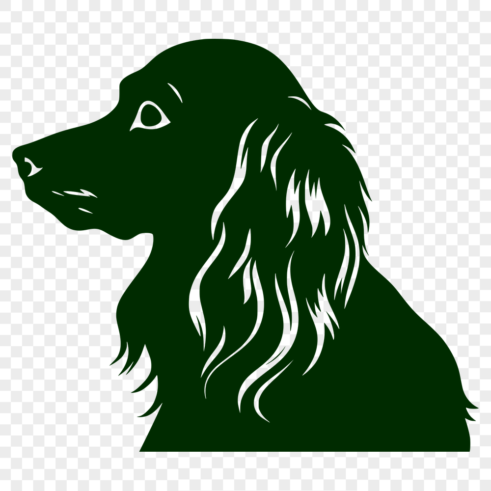 Free Stunning Cocker Spaniel Illustration