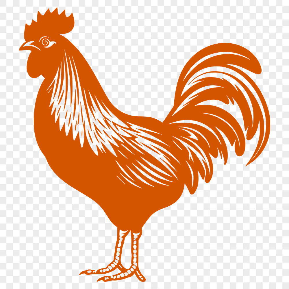 Stunning Chicken Printable Image