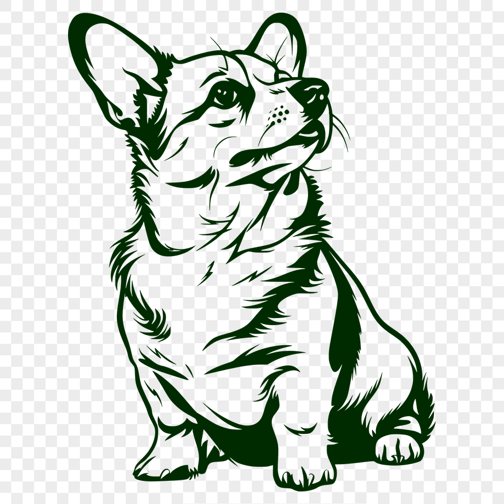 Unique Sitting Corgi PNG