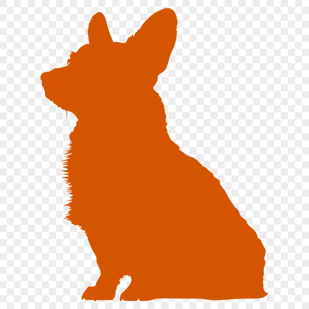 Stunning Sitting Corgi PDF