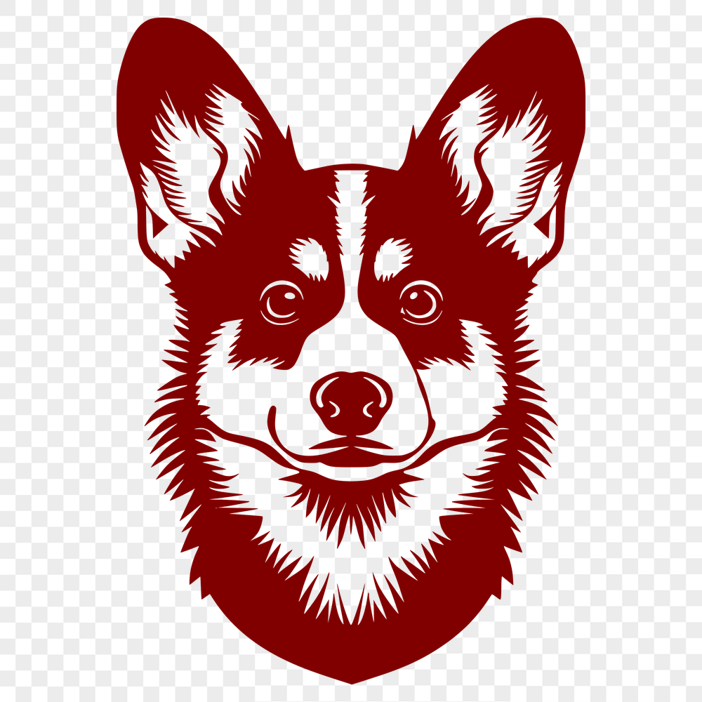 Unique Corgi PNG