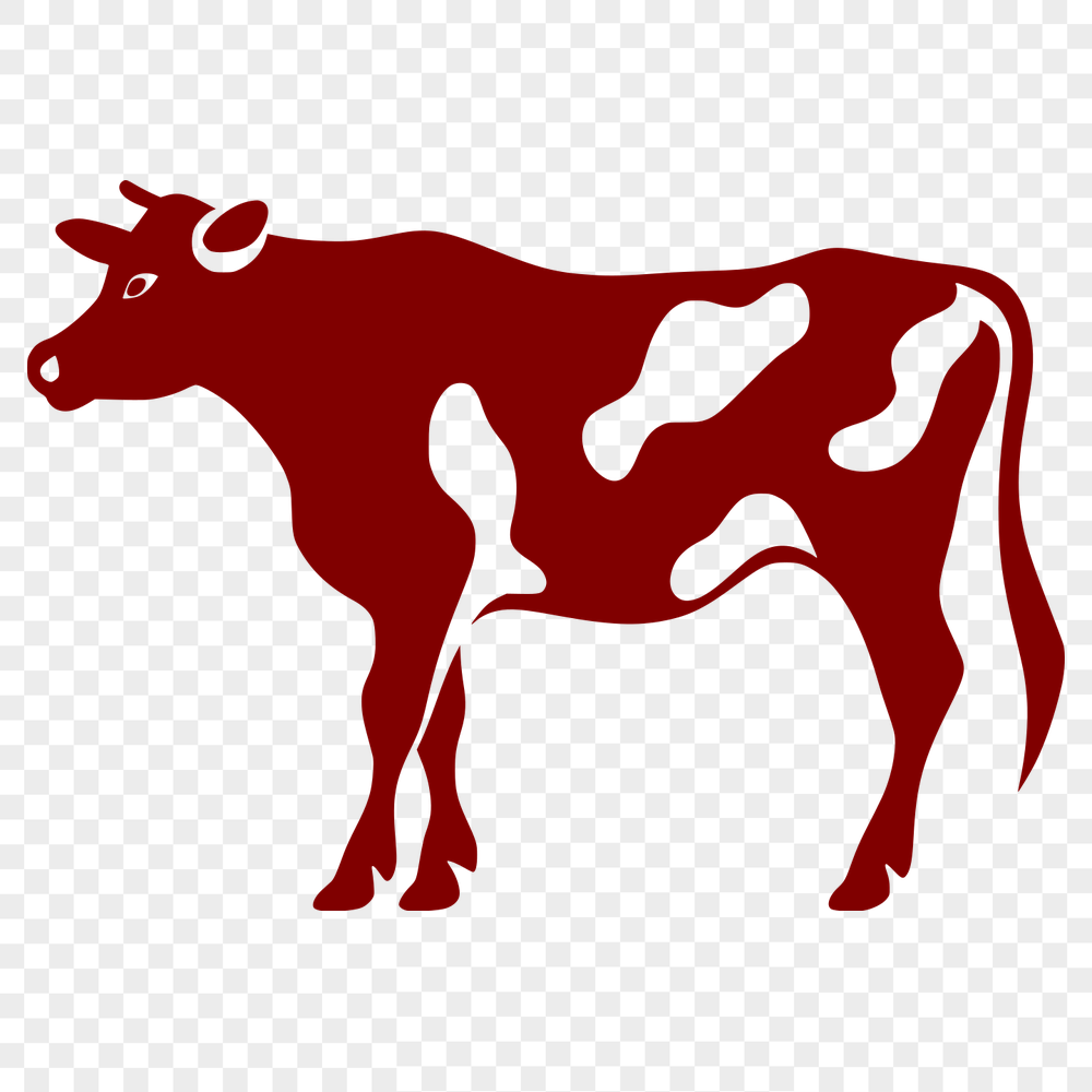 Beautiful Farm Animal Vector Image