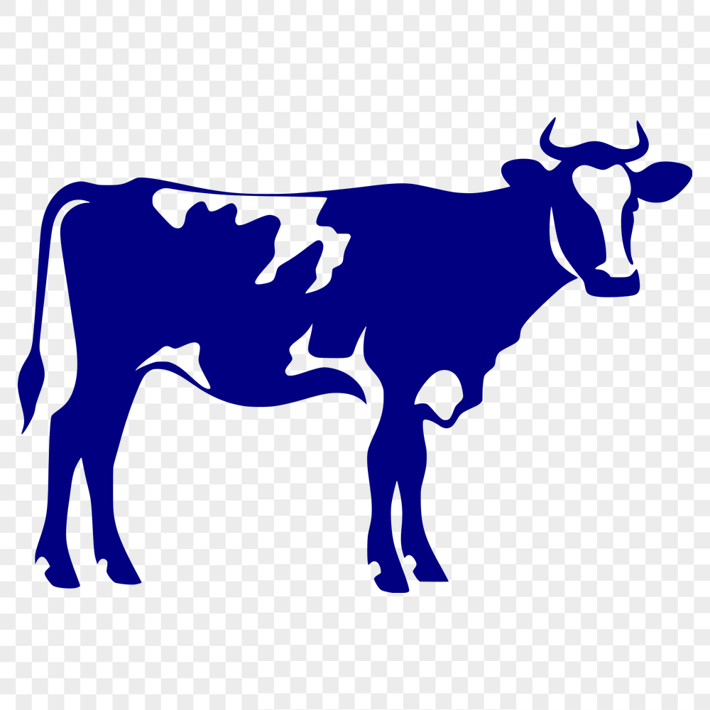 Free Stunning Cow Decal