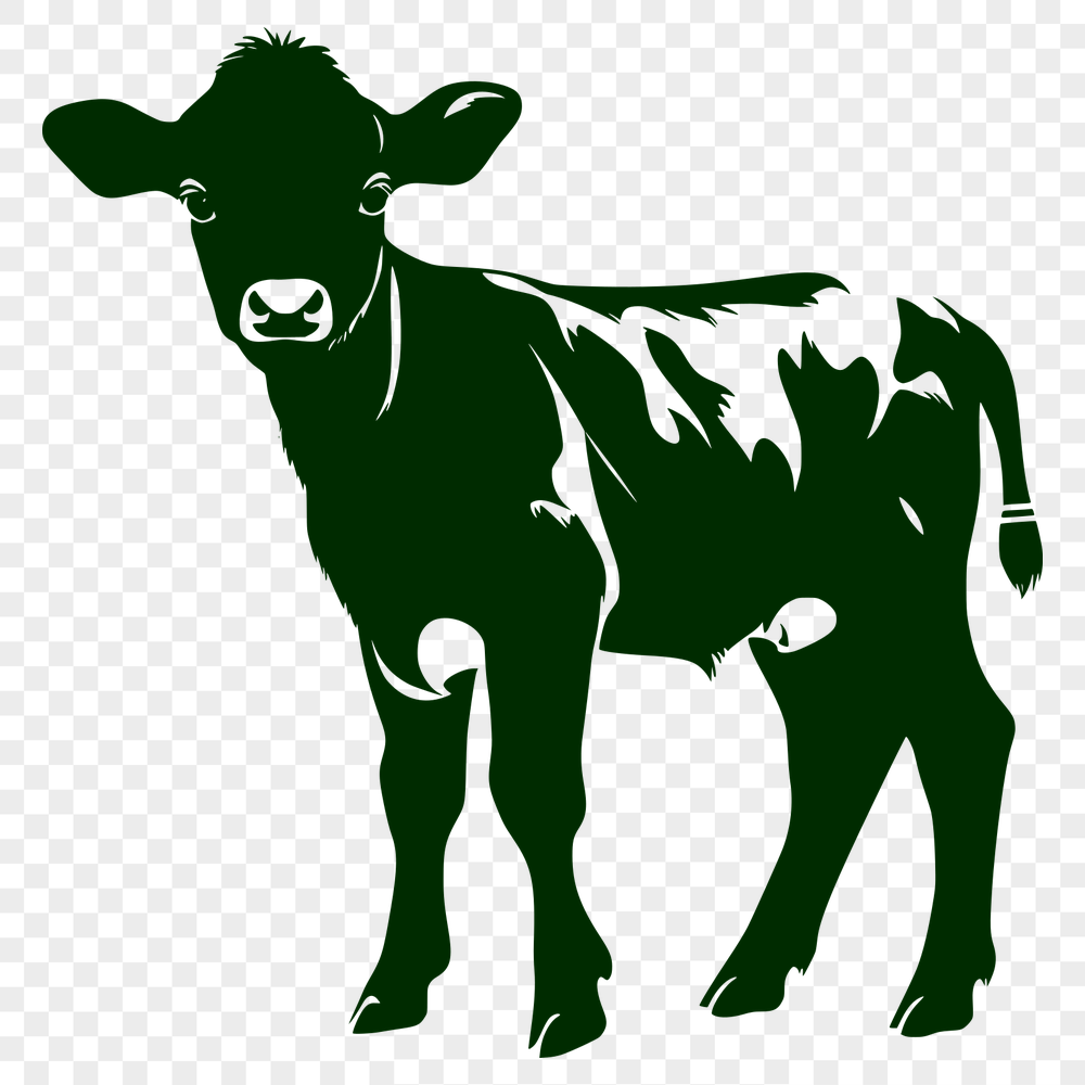 Stunning Cow - For Cricut Project