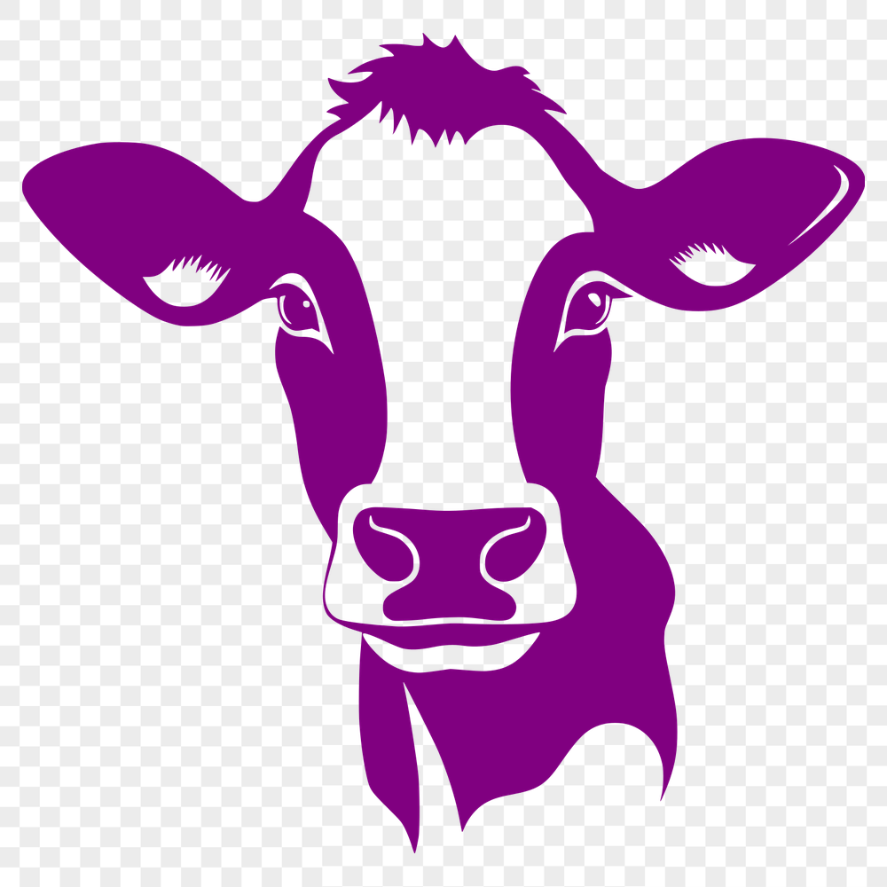 Unique Cow - For Farm Animal Project