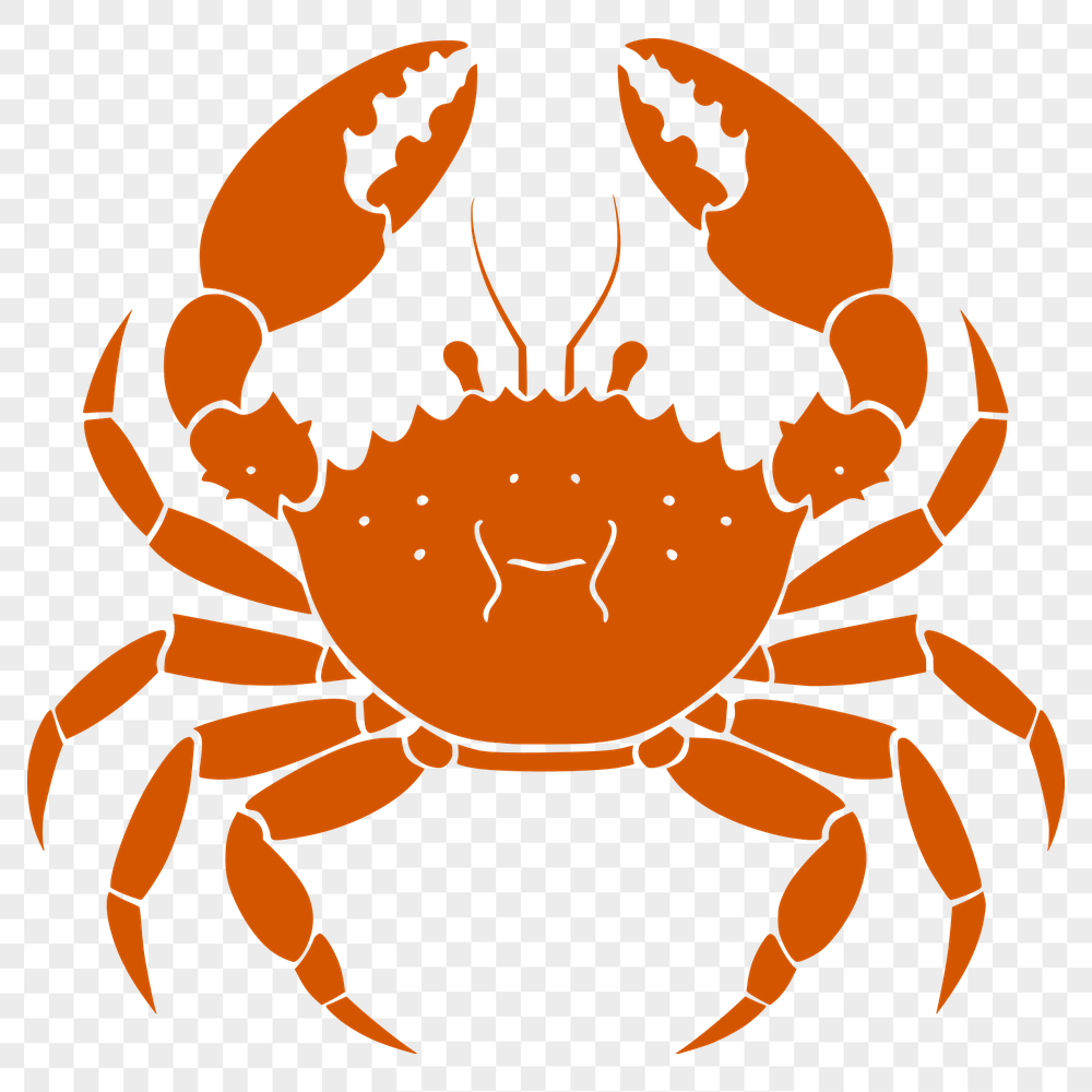 Artistic Crab Illustration