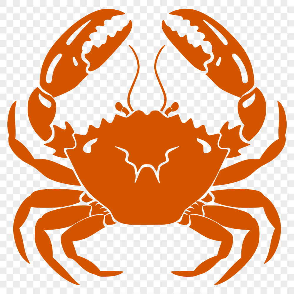 Unique Crab Vector Illustration