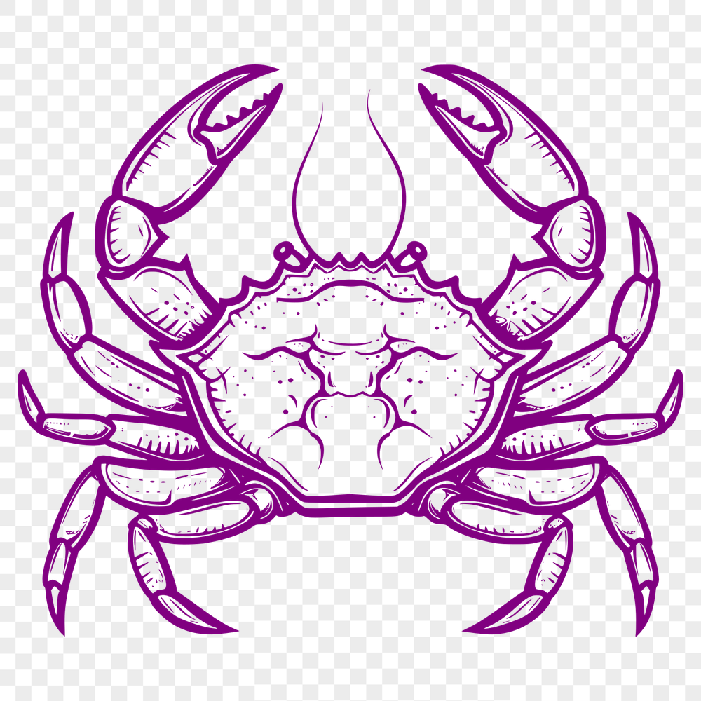 Artistic Crab Design